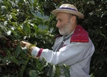 Il gusto di Carlin per il cibo: no ogm, giusto prezzo e prodotti slow. “Mangiare è un atto politico”