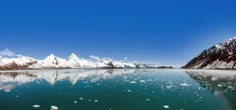 Caldo record nell'oceano Pacifico: "Morti uccelli marini e mammiferi". Paura per le tempeste invernali