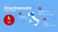 Virus Oropouche: che cos’è, chi è a rischio infezione e le precauzioni da prendere