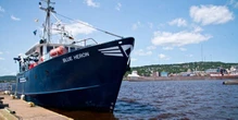 Forme di vita sconosciute in una misteriosa melma: la scoperta sulla nave Blue Heron