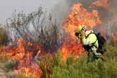 Spagna in lotta contro decine di incendi boschivi: un morto vicino Madrid e centinaia di evacuati
