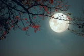 Luna piena (dei fiori) il 1° maggio 2026: quando vederla e il suo significato simbolico