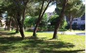 Roma, bambino di 8 anni preso a bastonate durante la sua festa di compleanno