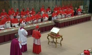 Il Cielo in una stanza. I cardinali entrano (divisi) in Sistina. Parolin il favorito, David la sorpresa
