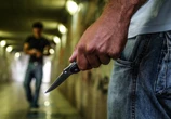 Bande giovanili in Italia, il poliziotto: età sempre più bassa e contenuti moltiplicati via social