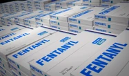 Fentanyl rubato a Roma, indagati due custodi dell’ospedale Israelitico