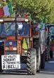 Nardella e l’agricoltura Ue: "Niente tagli ai fondi o torneranno i trattori"
