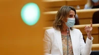El PSOE intenta evitar que la oposición tumbe en el Senado la subida de la matriculación 