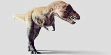 Explican por qué el T. rex tenía los brazos tan cortos