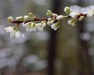 Плюс 23°: якою буде погода наступного тижня