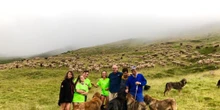 Entre lobos y mastines para poner a prueba la superación y proteger el medio ambiente