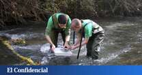 Hallan en el río Henares el cuerpo sin vida de una joven de 27 años desaparecida este miércoles en Alcalá (Madrid)