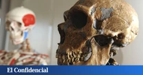 Estudian el ADN neandertal y descubren otro motivo por el que los humanos habríamos acelerado su extinción