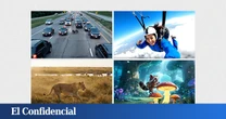 Esta IA de Google es alucinante. Pero nos recuerda el problema que se nos viene encima