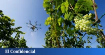 Drones espantapájaros: el proyecto madrileño para salvar cosechas y que no necesita piloto