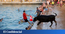 Herido grave por asta de toro un hombre de 63 años en los 'bous a la mar' en Denia (Alicante)