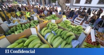 El precio del plátano se dispara, pero los agricultores avisan de que el beneficio se lo llevan otros