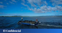 Semillas de ostra rizada con pedigrí catalán: la acuicultura del Delta del Ebro quiere dejar de depender de Francia