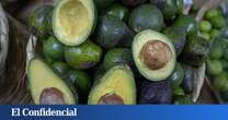 Cae una banda que introdujo 121 kilos de cocaína en aguacates por el aeropuerto de Madrid