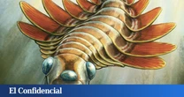 Un fósil con 506M de años le dice a la ciencia que un extraño depredador con tres ojos habitó la Tierra