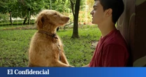 La tierna y divertida película en Netflix de poco más de hora y media, ideal para el fin de semana: dos hermanos, una furgo y un perro