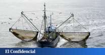 El fenómeno que explica por qué la pesca va a cambiar de forma irremediable