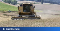 Prohibido cosechar por riesgo de fuego: el campo de Soria se revuelve contra las medidas antiincendios