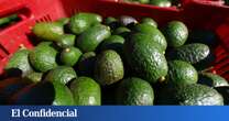 Detenidos dos hombres relacionados con el robo de entre 4.000 y 5.000 kg de aguacates