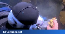 Exploran las profundidades de la Antártida y encuentran un organismo capaz de devorar las células cancerígenas del melanoma humano
