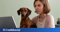 Ya es oficial: Este será el temario del curso obligatorio para poder tener perro, plazos y cuándo entrará en vigor