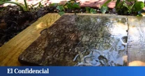 Encuentran una tumba romana en Nueva Orleans: ¿Qué hace ahí?