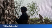 Ahora es Ucrania la que se desespera y usa redes de pesca para detener a los drones rusos
