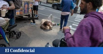 Un viaje entre los mendigos de Occidente: la epidemia que recorre Norteamérica