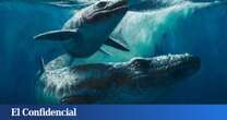 Encontraron restos de un monstruo marino: la ciencia debe determinar ahora si el hallazgo es real