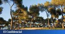 El pulmón verde de la almendra de Madrid que acaba de ser declarado BIC: con vestigios del Paleolítico y la Guerra Civil