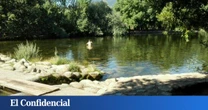 Tres escapadas fresquitas en Madrid: entre piscinas naturales y cascadas ideales para ir este verano
