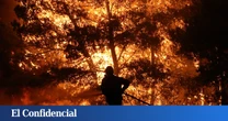 Cómo controlar el gran bosque de España: 30 satélites y cámaras para combatir incendios en CyL