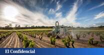 330 bodegas, 26.000 hectáreas y 50 M de litros al año: la España vaciada que resiste (y crece) gracias al vino