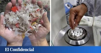 Hacen un experimento con bacterias y logran transformar el plástico en paracetamol