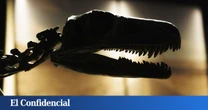 Encuentran una piedra de ámbar y descubren que los dinosaurios sobrevivieron a un evento catastrófico