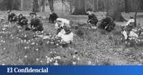 Cuando el LSD pudo ser un fármaco de masas para tratar los traumas de la II Guerra Mundial