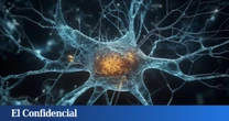 Las neuronas artificiales que pueden sustituir a las reales para reparar cerebros con alzhéimer
