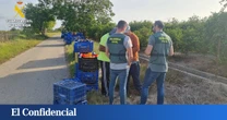 Naranjas sin papeles: un detenido por vender más de 160 toneladas de cítricos con datos falsos en Valencia