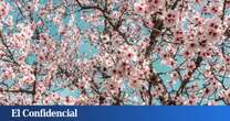 No es la Quinta de los Molinos: el oasis perfecto para disfrutar de los almendros en flor (gratis) en pleno centro de Madrid