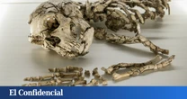 Una teoría afirma que algo procedente del espacio exterior extinguió a los neandertales