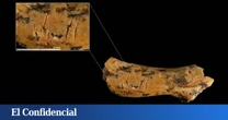 Los huesos de un niño canibalizado reafirman esta práctica entre humanos en Atapuerca