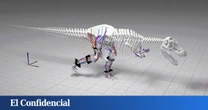 Simulan el movimiento de los dinosaurios y ponen nombre y apellidos al más rápido de todos