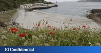Un total de 108 playas con Bandera Azul en Galicia 2025: listado completo por provincias