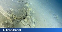 Japón explora el océano a 9.000 metros de profundidad y encuentra una forma de vida desconocida para la ciencia
