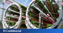 Este huerto robótico del tamaño de 10 Bernabéus muestra cómo será el futuro de la agricultura